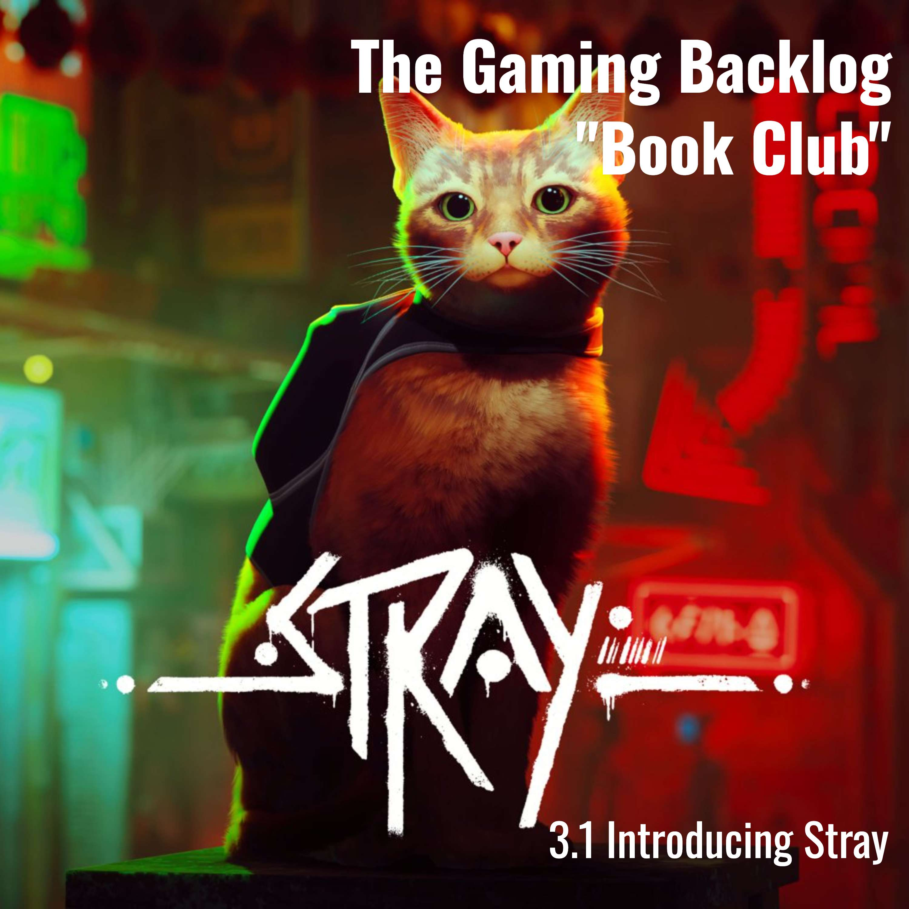 3.1 Expectations for Stray