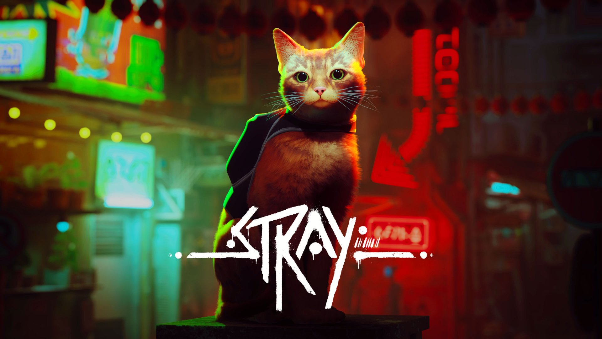 Season 3: Stray cover art